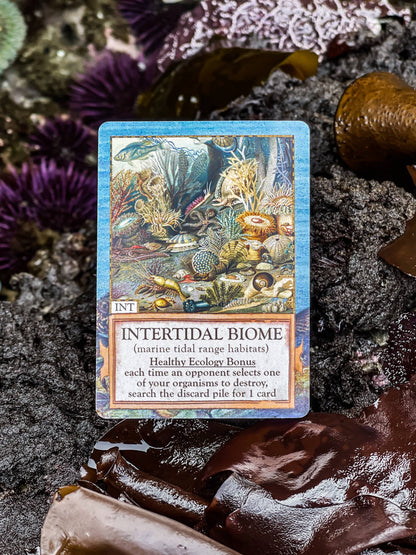 Montrose Biology - Ecologies: Hidden Habitats Card Game