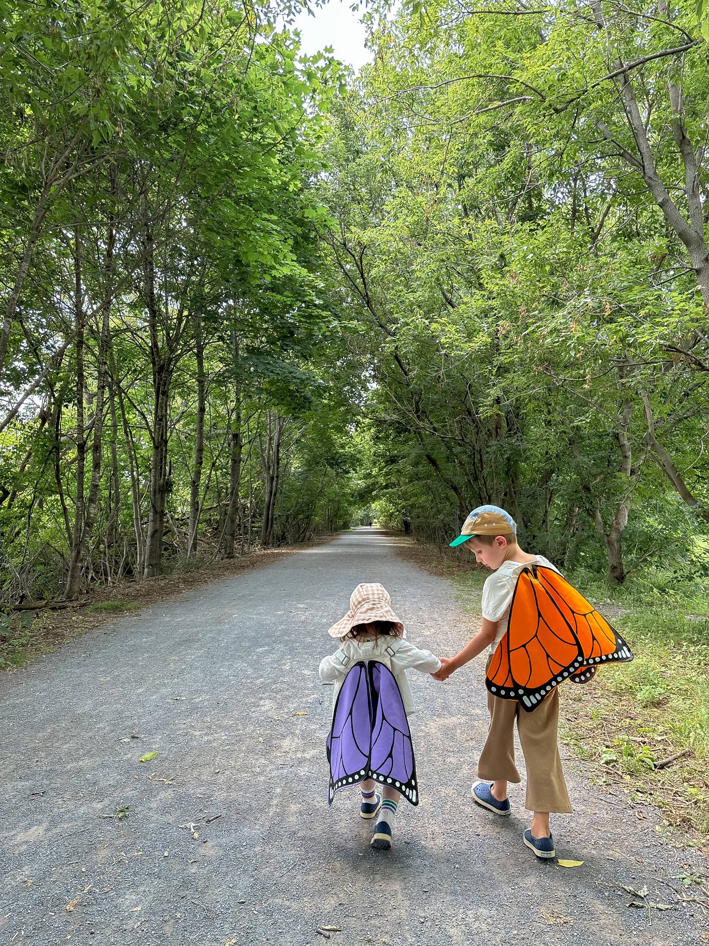 Orange Monarch Butterfly Costume Wings