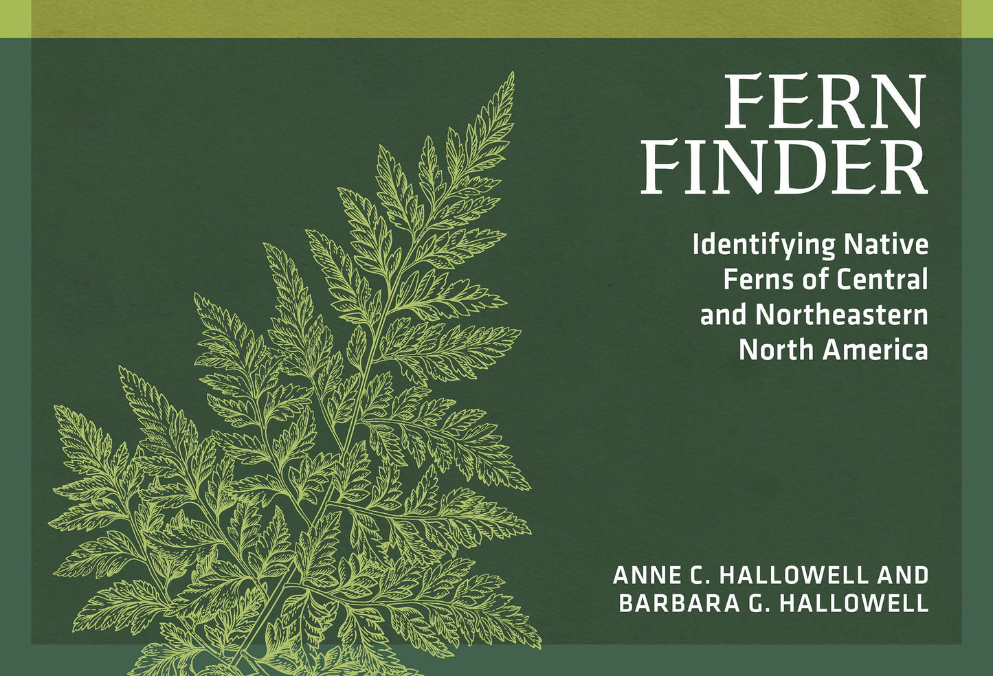 Fern Finder Eastern