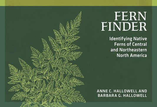 Fern Finder Eastern