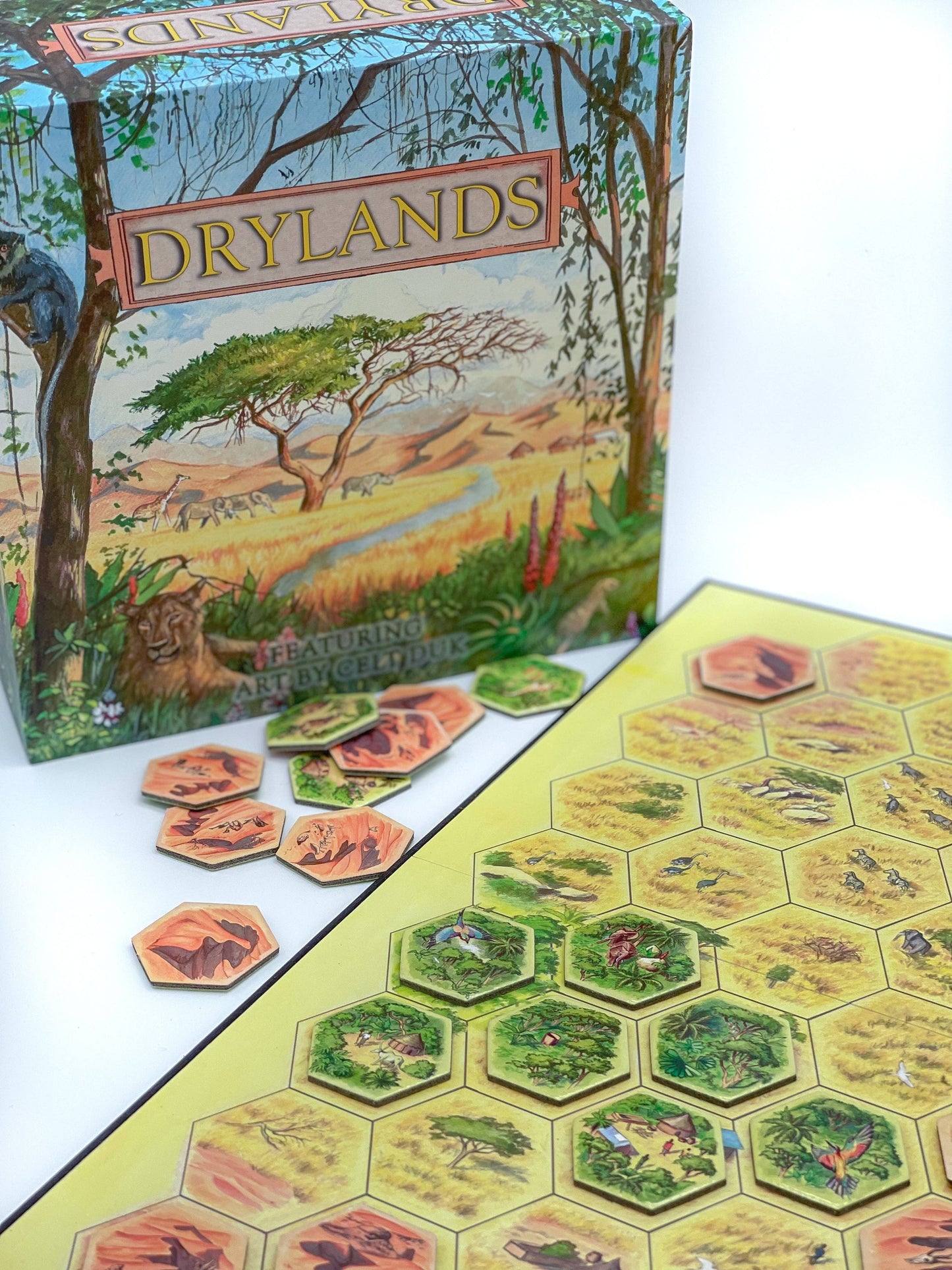 Drylands Board Game