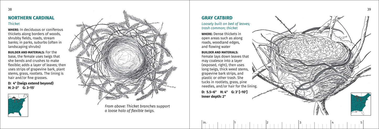 Bird Nest Finder
