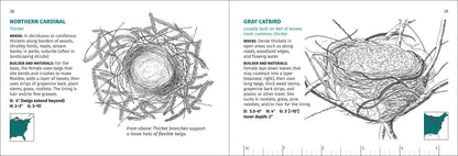 Bird Nest Finder