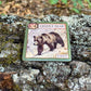 Montrose Biology - Ecologies Junior: Forest