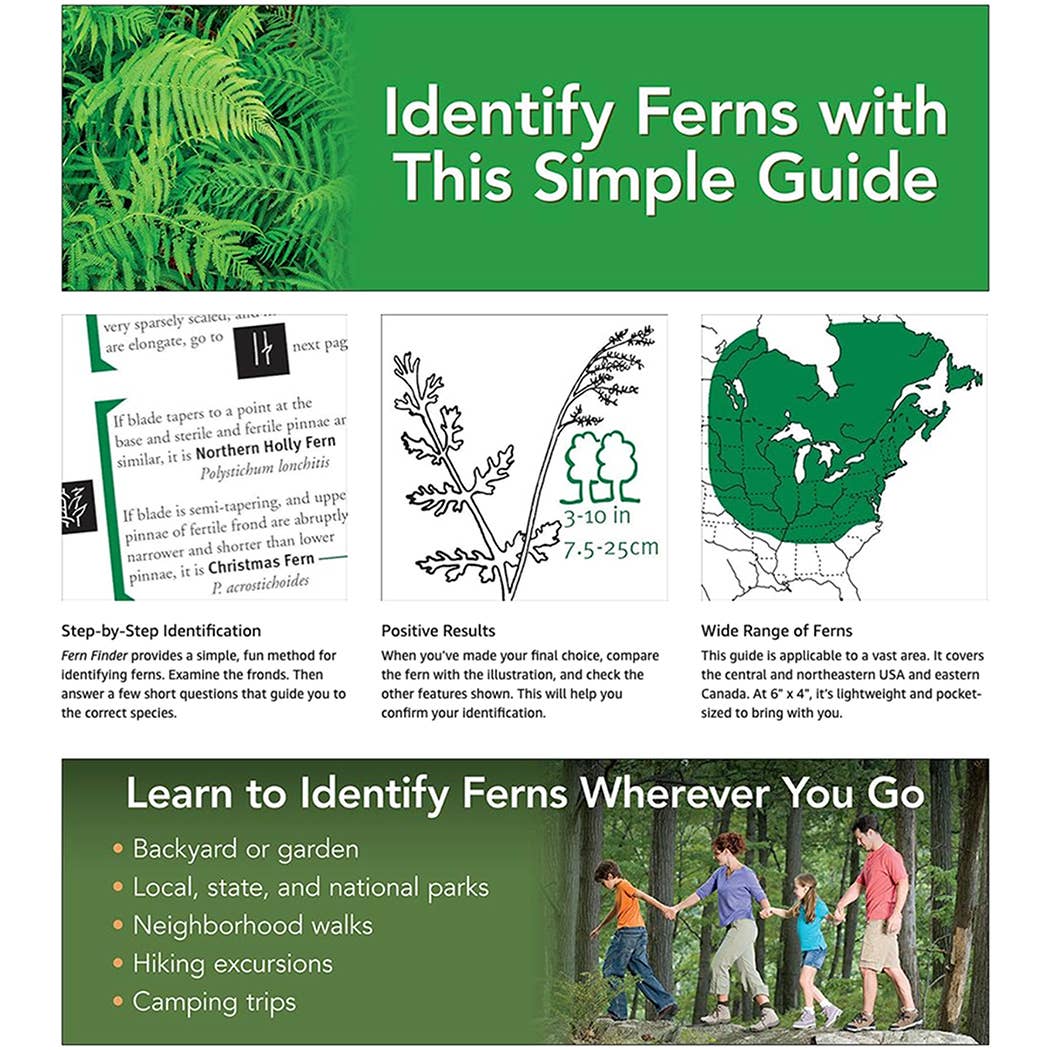 Fern Finder Eastern