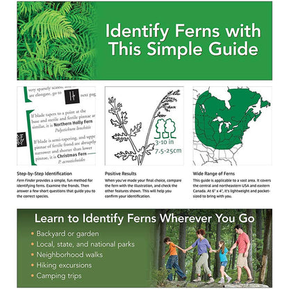 Fern Finder Eastern