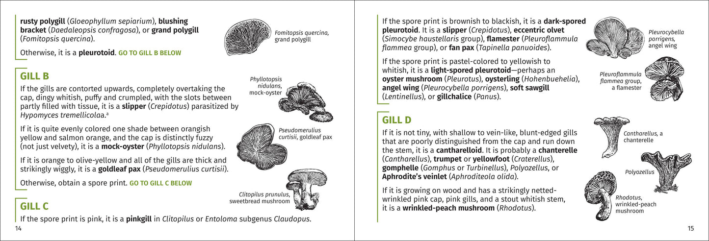 Mushroom Finder