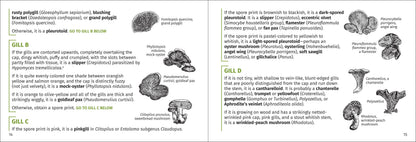 Mushroom Finder
