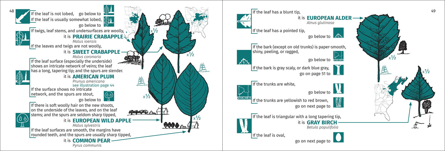 Tree Finder Eastern