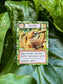 Montrose Biology - Ecologies: Hidden Habitats Card Game