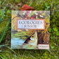 Montrose Biology - Ecologies Junior: Forest