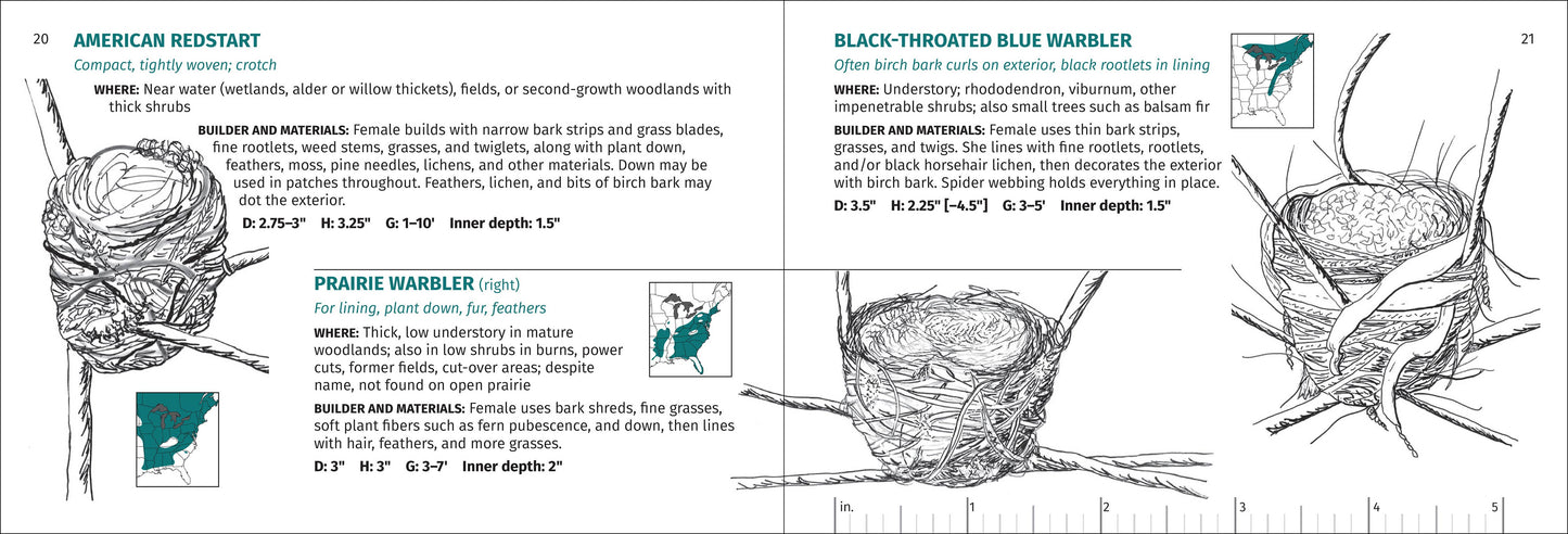 Bird Nest Finder