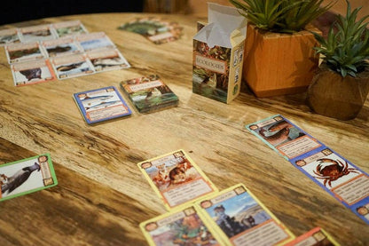 Montrose Biology - Ecologies Card Game