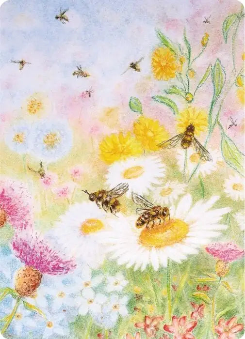 Kapitein Kalk Postcards - Bee Pasture