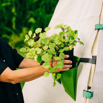 Bijou Bloom Hanging Planters