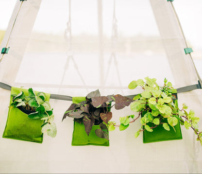 Bijou Bloom Hanging Planters