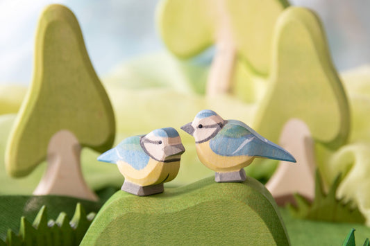 Blue Tit