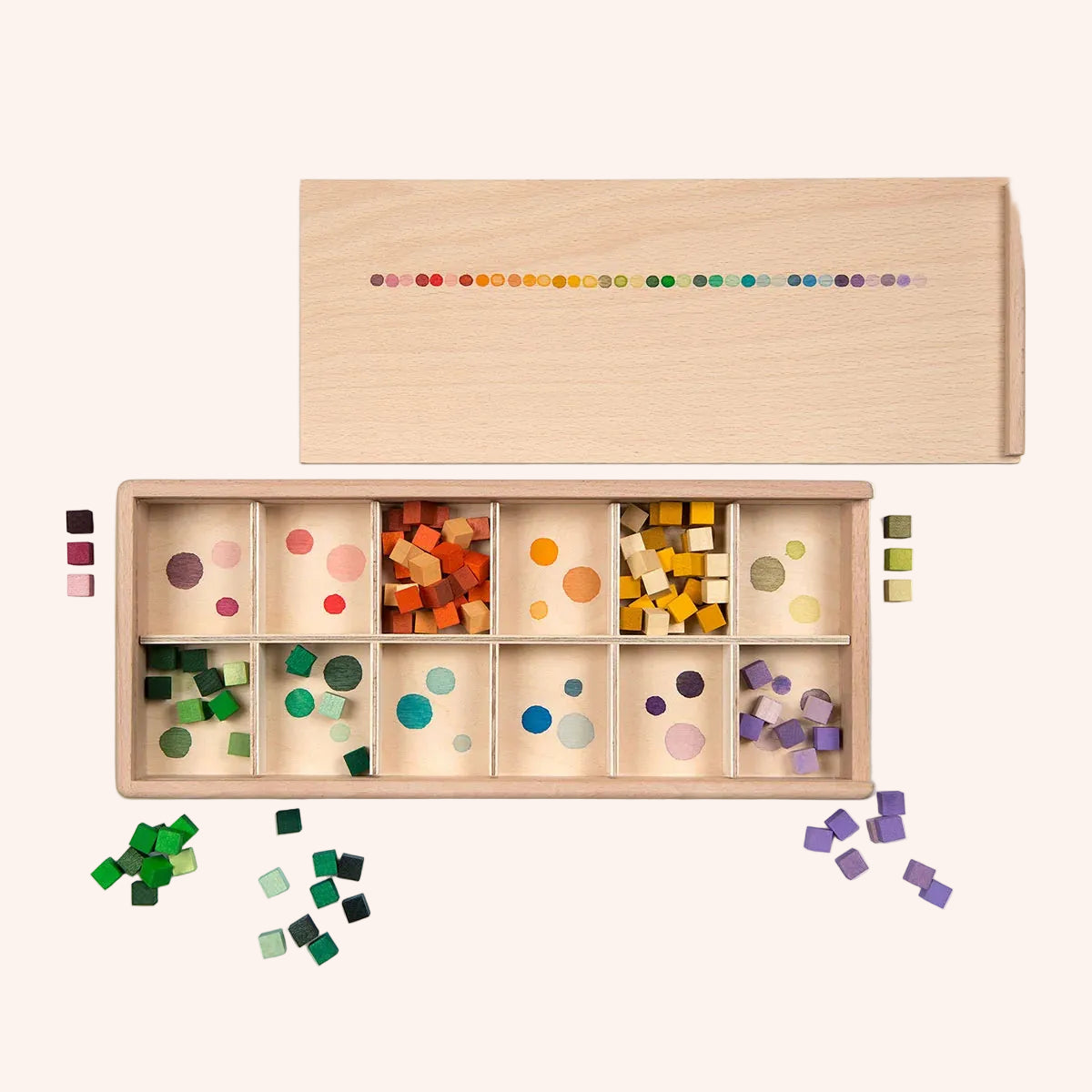 Mis and Match Color Sorting Set
