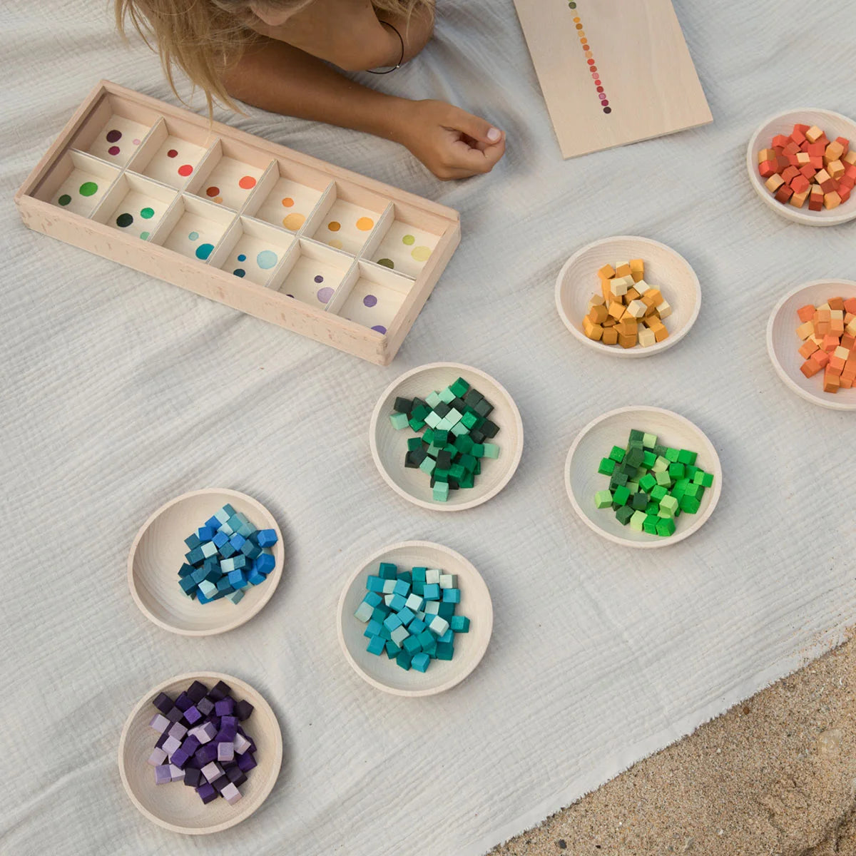 Mis and Match Color Sorting Set