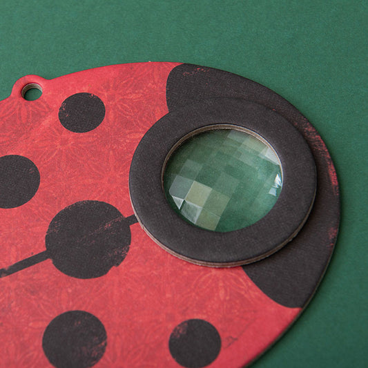 Bee Eye - Ladybug
