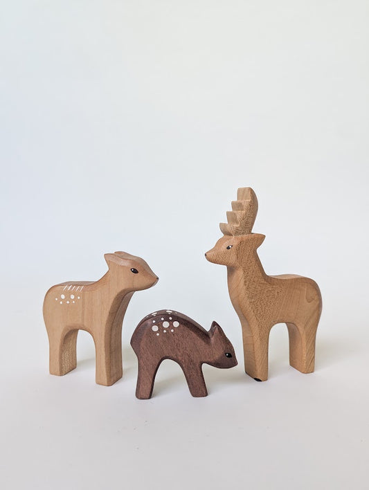Deer