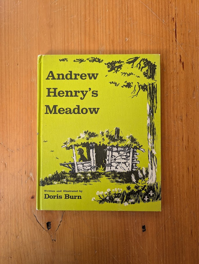 Andrew Henry's Meadow by Doris Burn