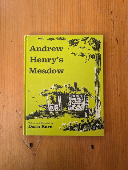 Andrew Henry's Meadow by Doris Burn