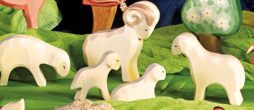 Lamb Standing