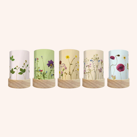 Beth Kendall - Pressed Garden Blooms shade set
