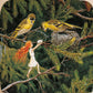 The Sun Egg silhouette - Birds