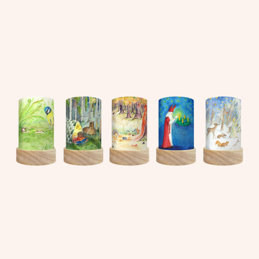 Eentje van Margo Lantern Shade Set Seasons
