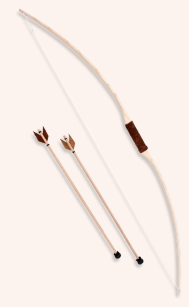 Short Bow with 2 Arrows