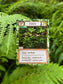 Montrose Biology - Ecologies: Hidden Habitats Card Game