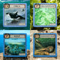 Montrose Biology - Ecologies Junior: Ocean