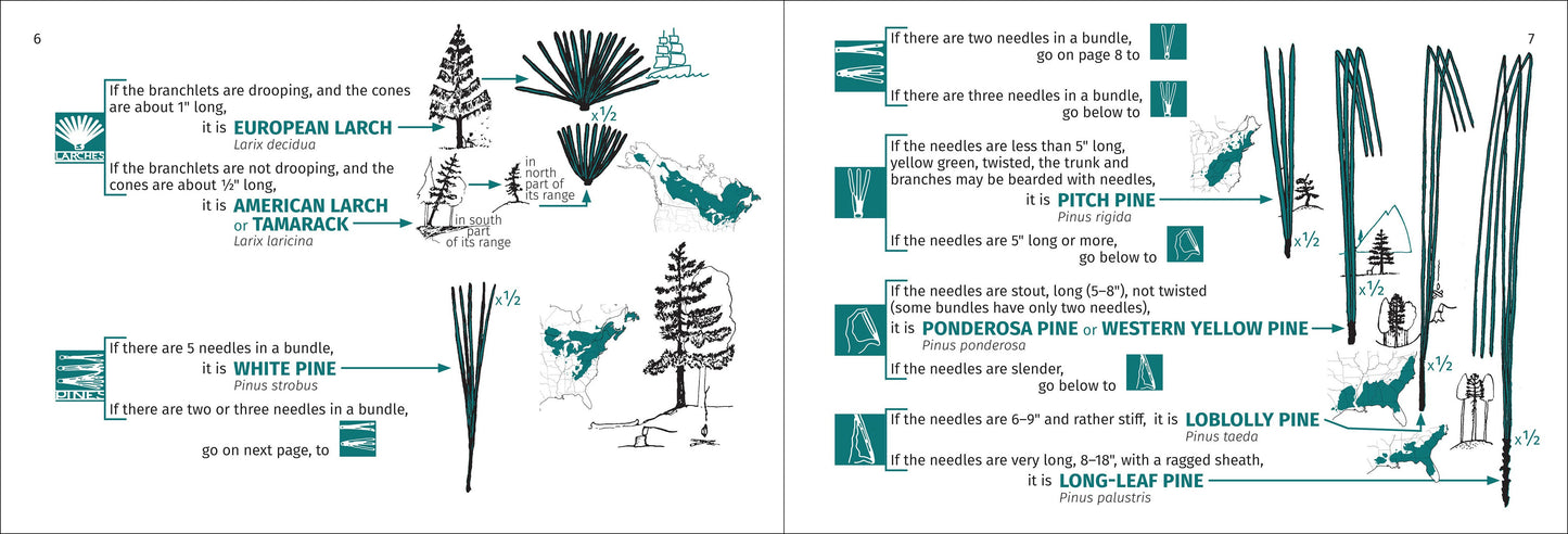 Tree Finder Eastern