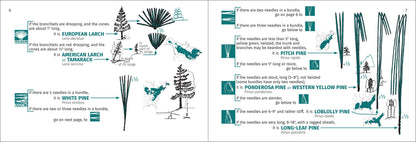 Tree Finder Eastern