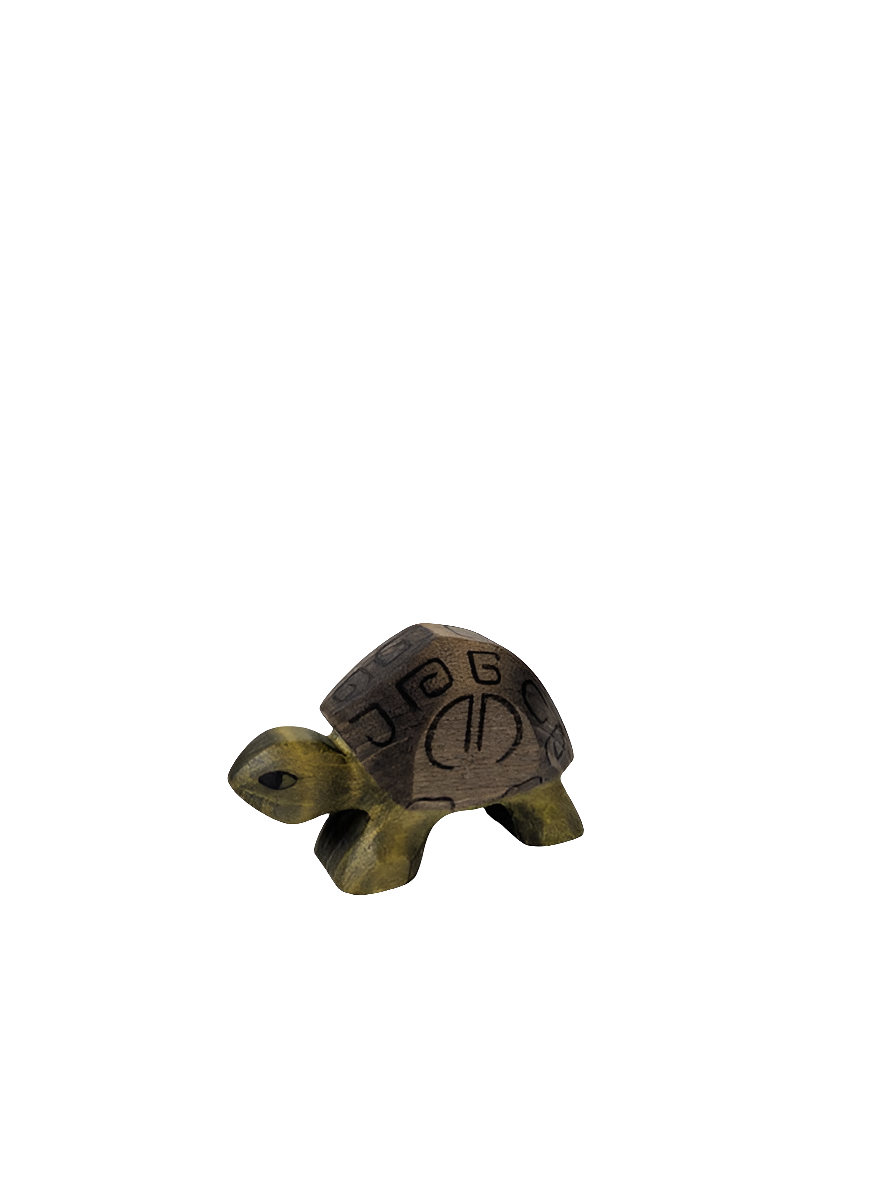 Tortoise