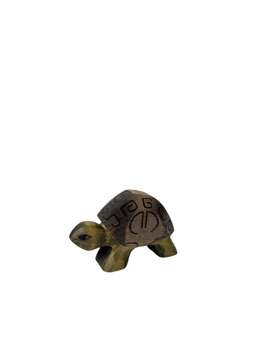 Tortoise
