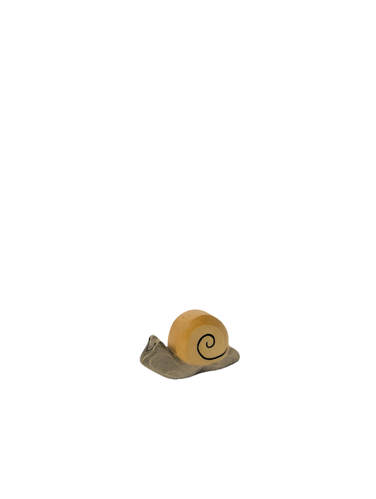 Snail