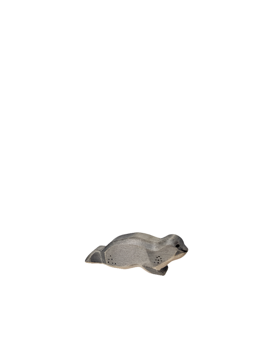 Sea Lion Lying