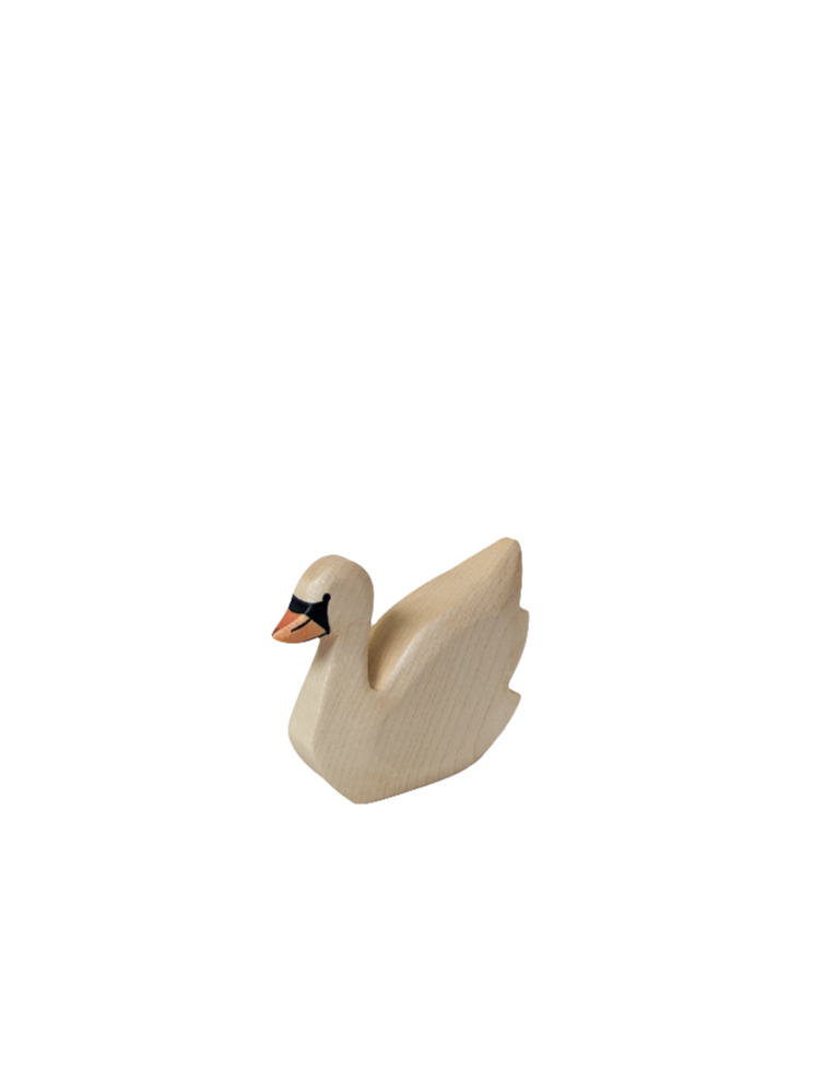 Swan