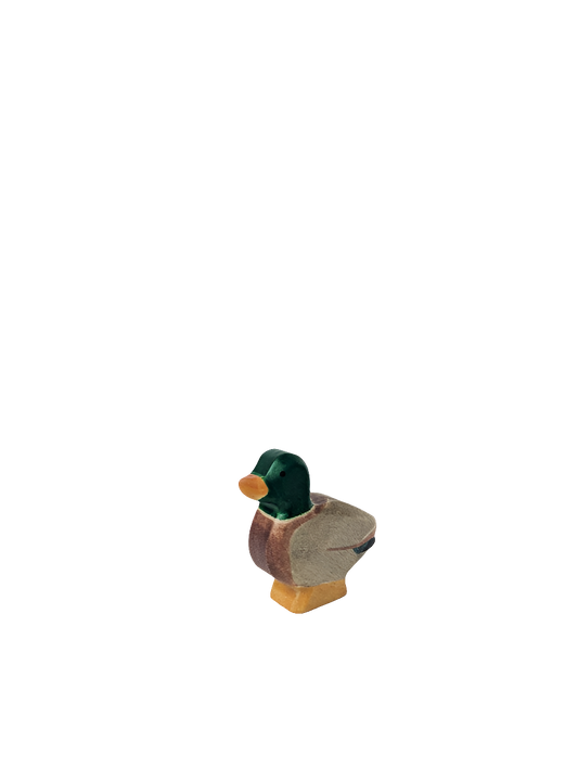 Drake