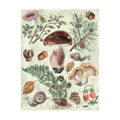 Ingrid Press - Mushroom Forest | 10 Postcards