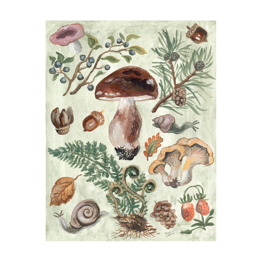 Ingrid Press - Mushroom Forest | 10 Postcards