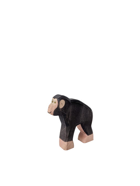Chimpanzee