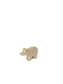 Small Polar Bear