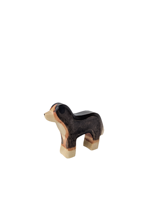 Bernese Mountain Dog