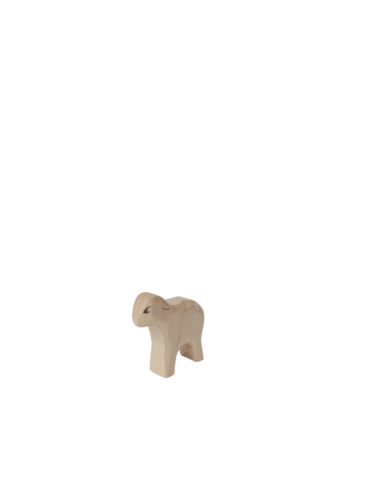 Lamb