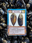 Montrose Biology - Ecologies: Hidden Habitats Card Game