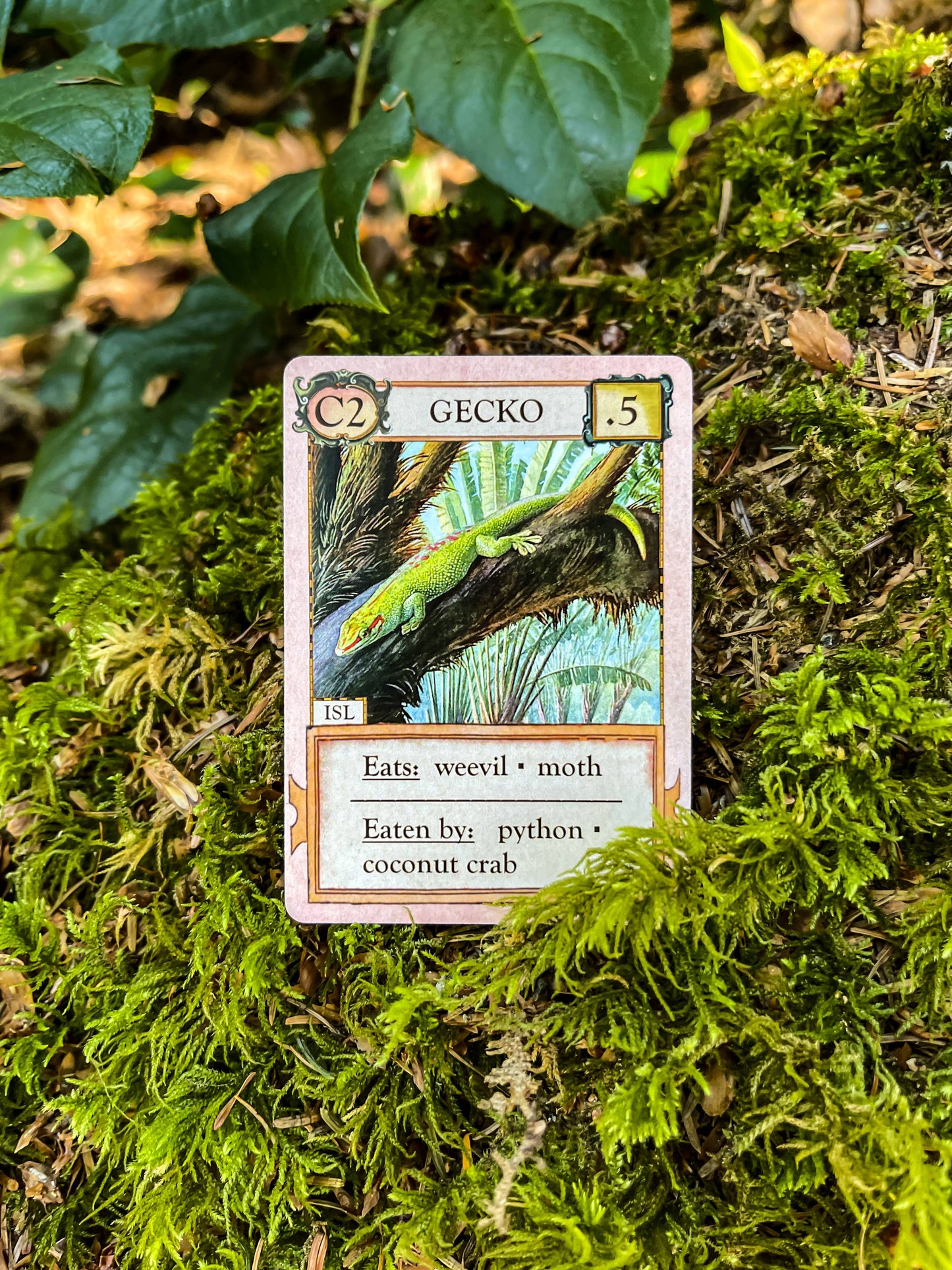 Montrose Biology - Ecologies: Hidden Habitats Card Game